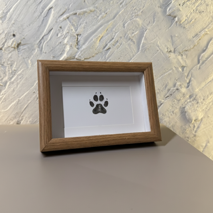 Kit amprentă cu tus pentru pisici