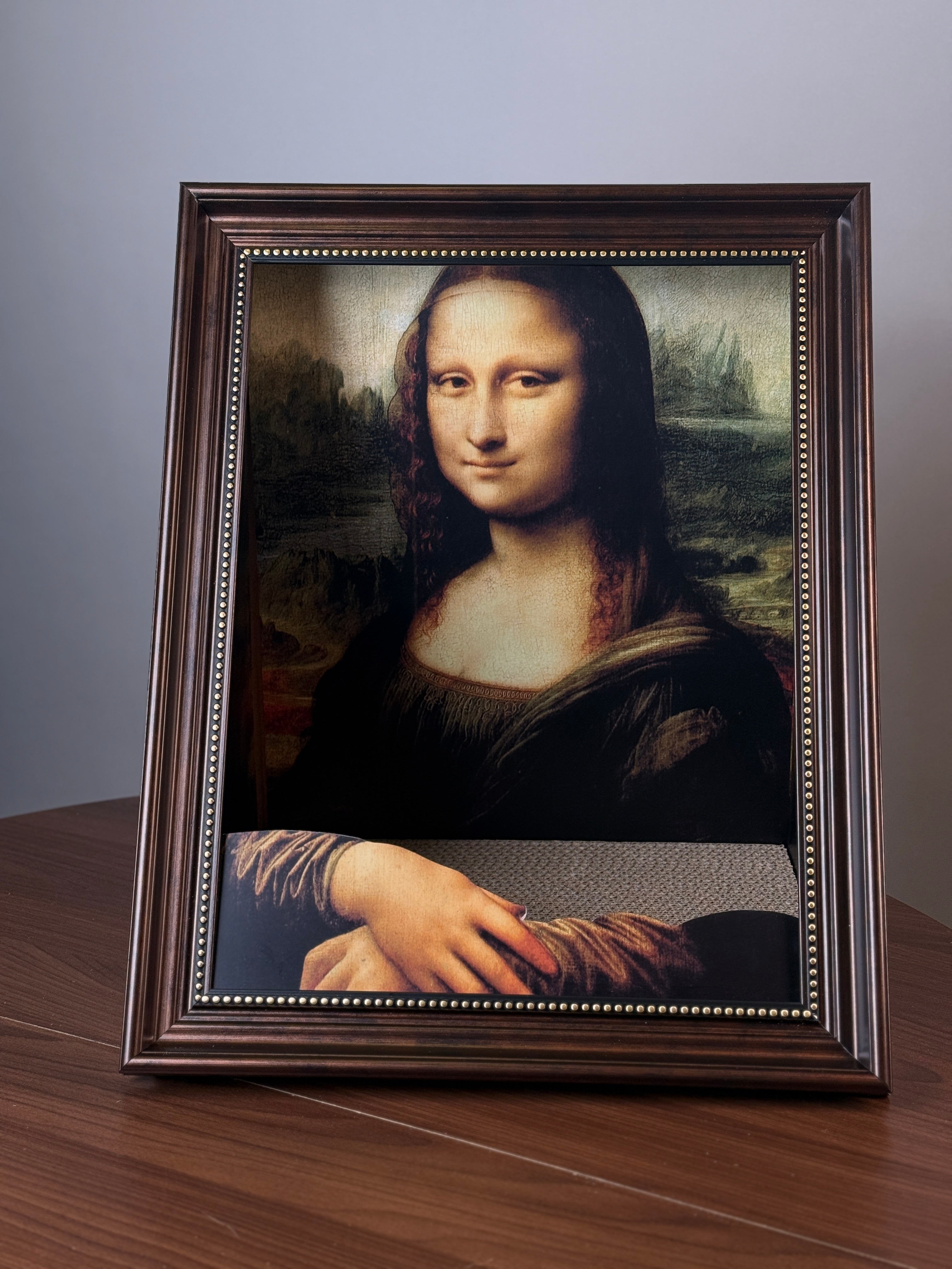 Pat pentru Pisici cu Design Artistic - Inspirat din Picturi Clasice