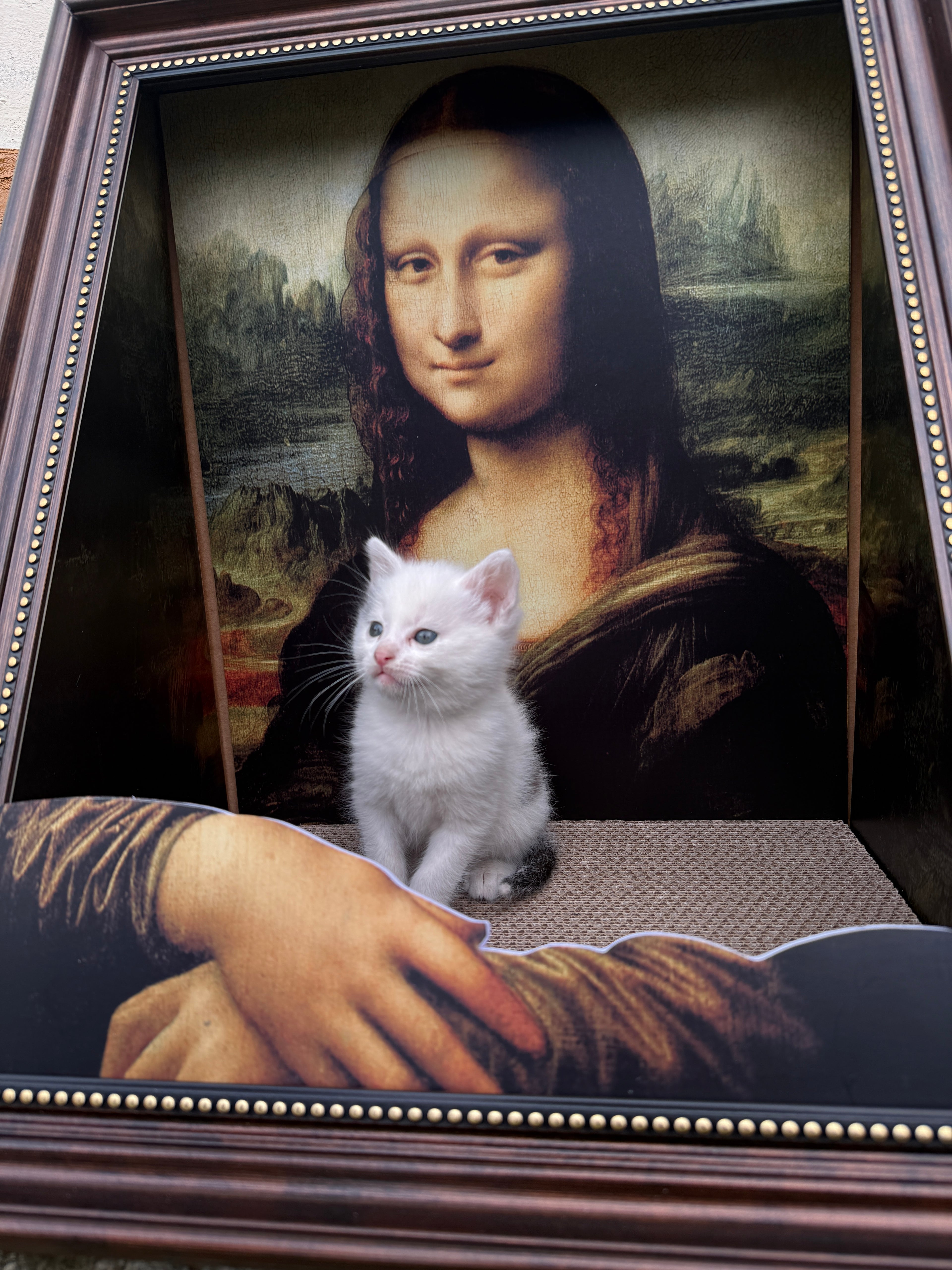 Pat pentru Pisici cu Design Artistic - Inspirat din Picturi Clasice