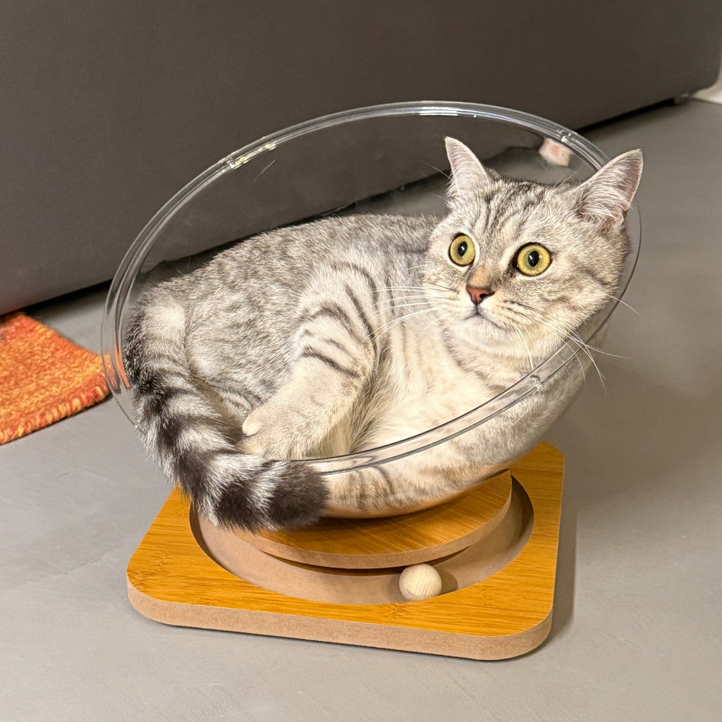 Capsula spatiala – Culcus transparent pentru pisici