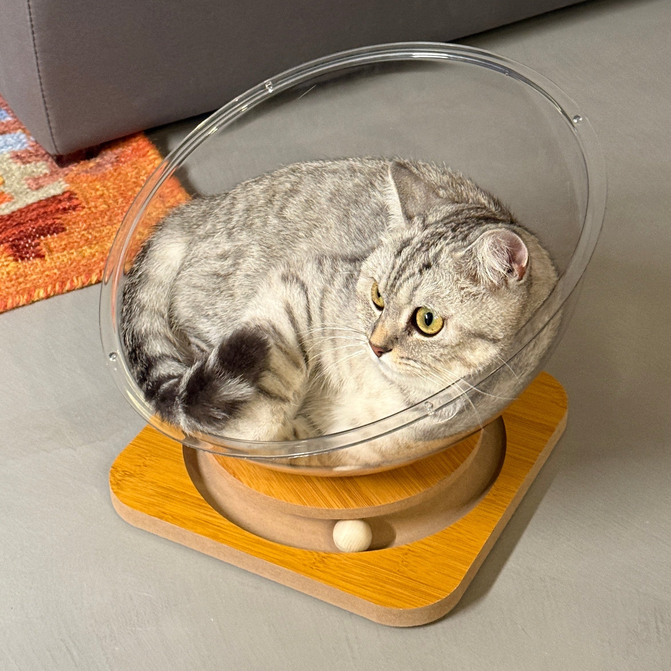 Capsula spatiala – Culcus transparent pentru pisici